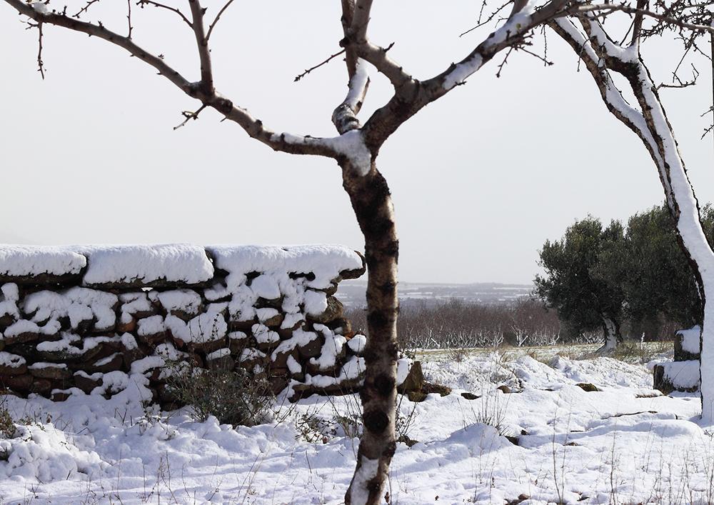 בית הארחה Apiés 	Casa Salto De Roldan מראה חיצוני תמונה